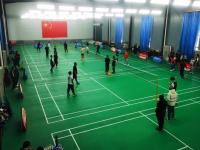 灵丘县第一届“羽协杯”迎新春羽毛球赛事成功举办