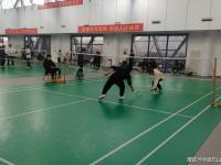 泰安市东平县举办“回村过大年体育闹新春”返乡大学生羽毛球赛事