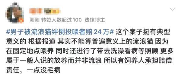 吵上热搜！上海一男子打羽毛球时被流浪猫绊倒骨折，投喂者被判赔24万……