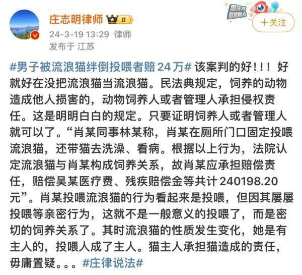 吵上热搜！上海一男子打羽毛球时被流浪猫绊倒骨折，投喂者被判赔24万……